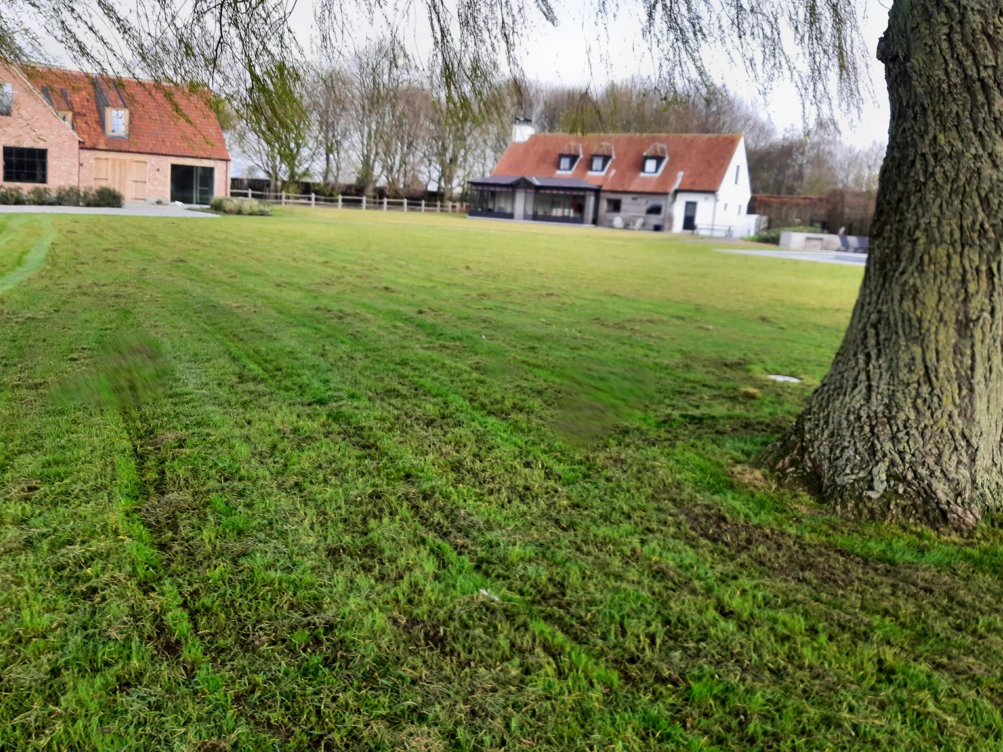 verticuteren gazon